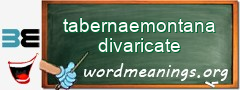 WordMeaning blackboard for tabernaemontana divaricate